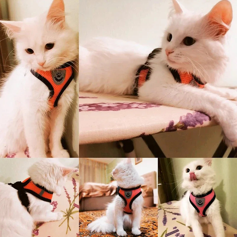 AirWalk Mesh Reflective Pet Harness