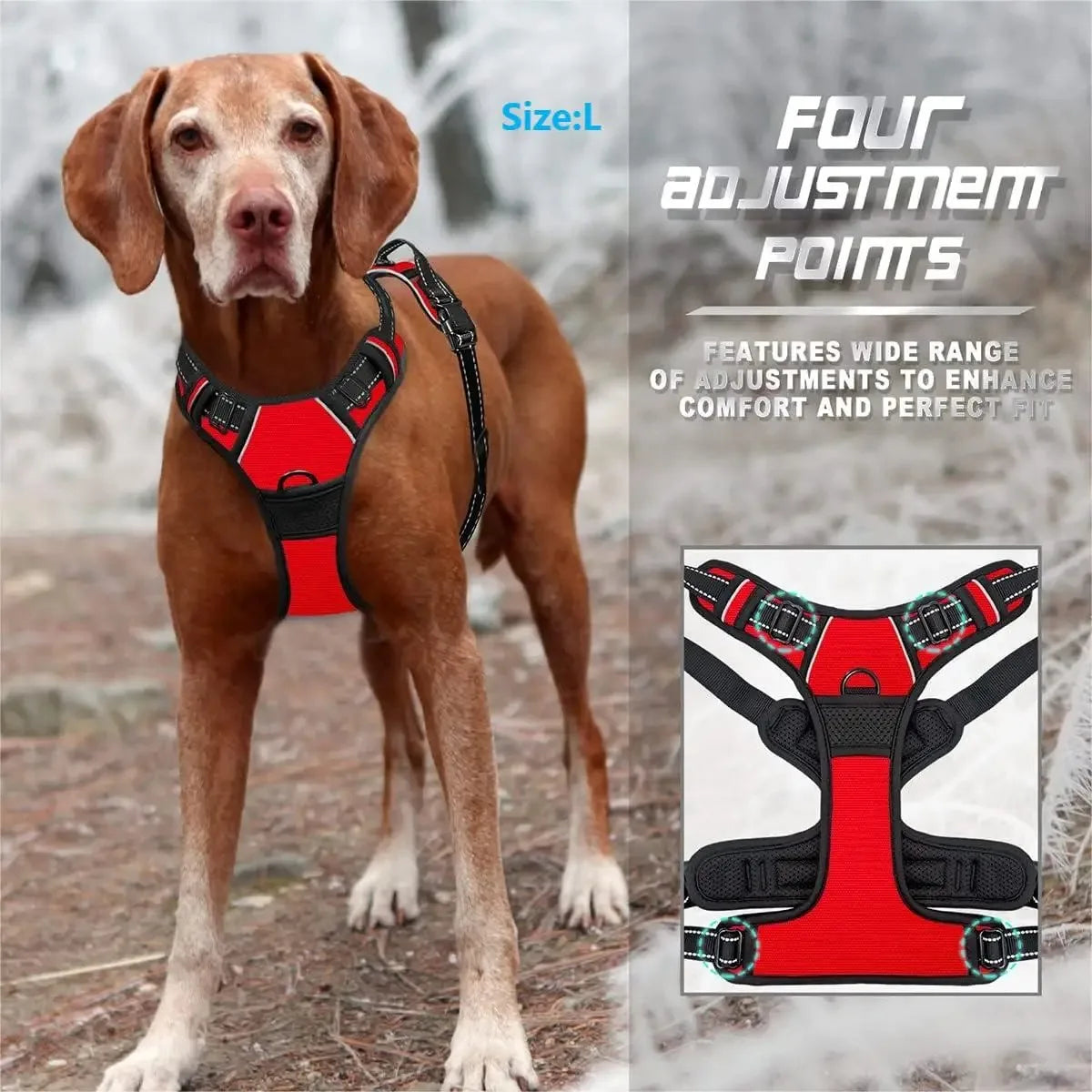 ClassicWalk Leather-Style Harness Set