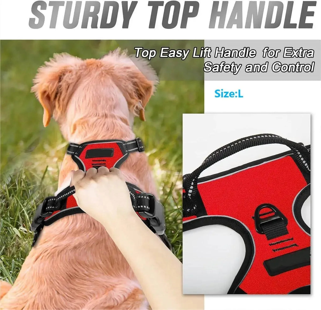ClassicWalk Leather-Style Harness Set