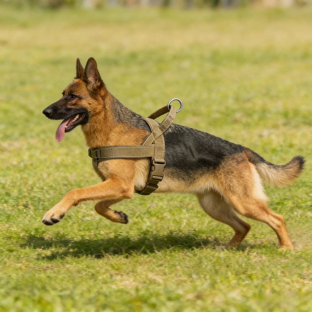 Heavy-Duty Tactical No-Pull Dog Harness – Padded Vest for Large Breeds