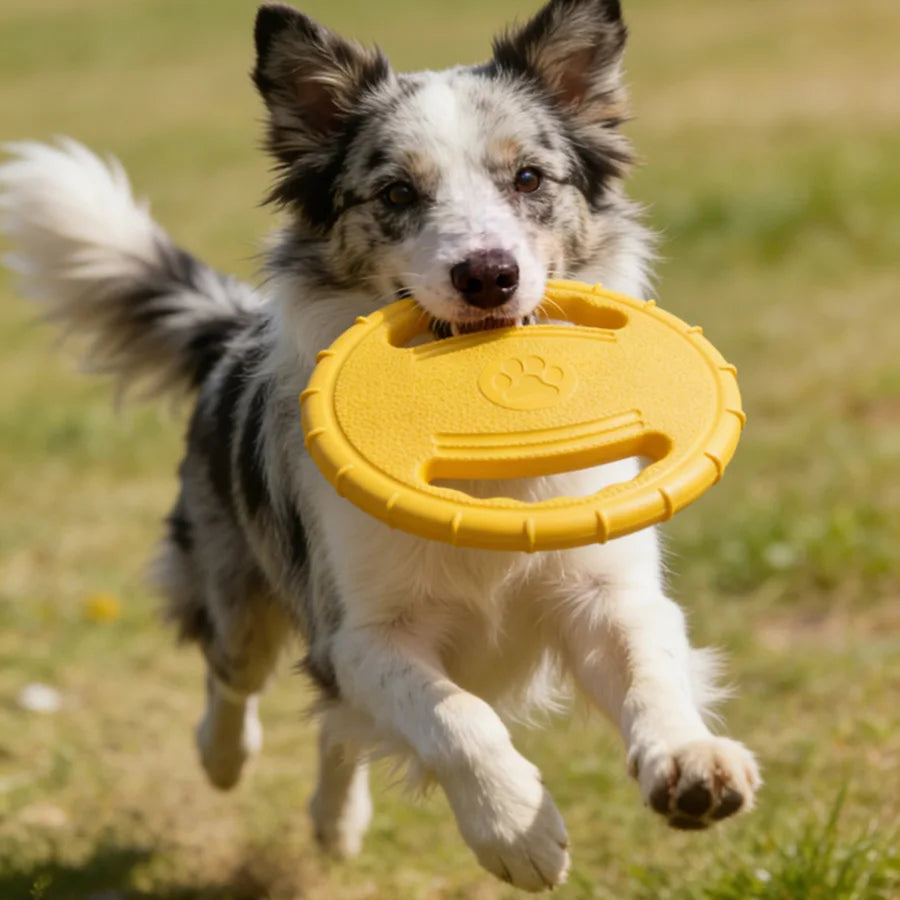 Interactive Flying Disc Dog Toy – Bite-Resistant Outdoor Fun