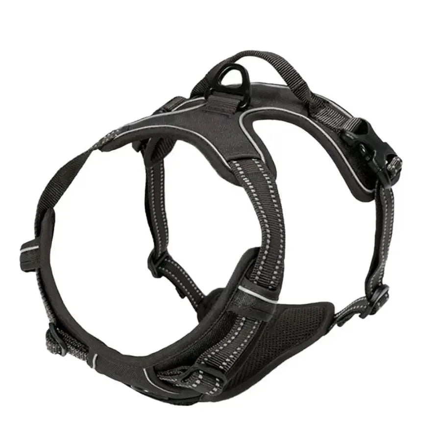 ClassicWalk Leather-Style Harness Set